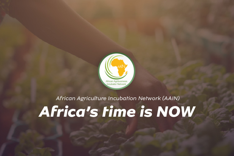 Incubation for the future global Economics. Africa’s time is NOW