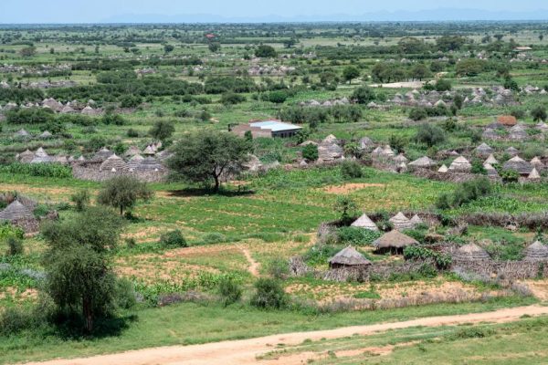 Ik community in Karamoja Climb Trees to search for Network.